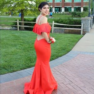 Meet your Posher, Rosie